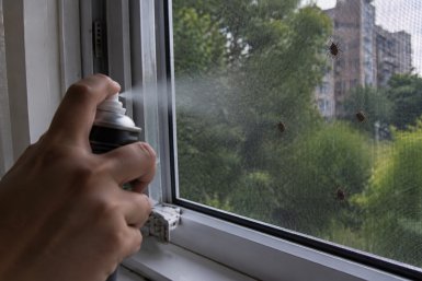 Клопы-вонючки лезут в дома Создано при помощи ИИ
